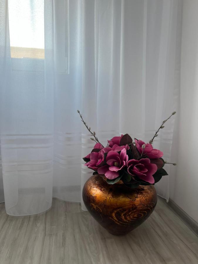 Apartament Tudor Oradea Exteriér fotografie